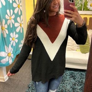 Medium Black Colorblock Lizard Thicket Sweater